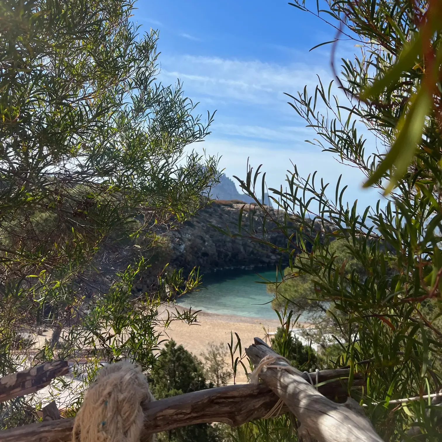 Vista entre la vegetación hacia Cala Carbó y el mar en Ibiza