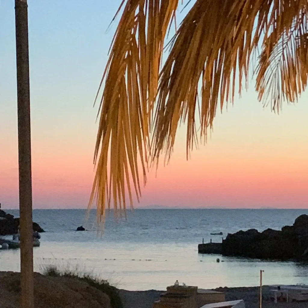 Palmeras y atardecer sobre el mar en Cala Carbó, Ibiza