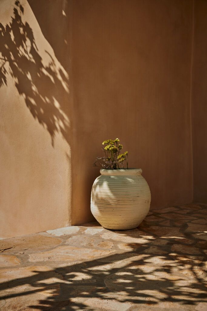 Detalle exterior con maceta y flores en Sa Païssa den Botja Ibiza